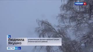 Новый снежный шторм прогнозируют на Алтае
