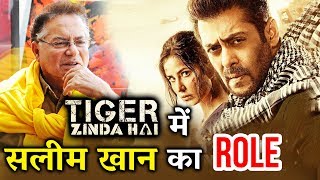 Tiger Zinda Hai में Salman के पिता Salim Khan का क्या है रोल - जानिये