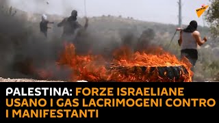 #Palestina: forze israeliane usano i gas lacrimogeni contro i manifestanti
