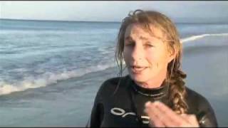 Stranded Orca rescued in NZ