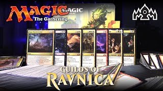 Magic: The Gathering - Дисплей Гильдии Равники (Guilds of Ravnica)