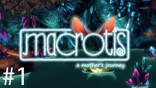 Macrotis: A mothers Journey - Part 1 (26/02/2019)