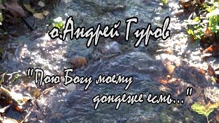 "Поэзия Струн" (живая) №42 - концерт о.Андрея Гурова (13.12.2018)