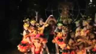 Спектакль шоу театра Алевай  "Муха-Цокотуха" 2010 год