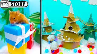 HAMSTER Mountain Maze ✨ Hamster in 5 Cone Maze