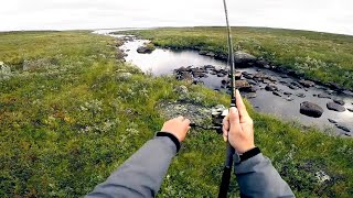 В ЭТОМ РУЧЬЕ ПОЛНО РЫБЫ!!! Вот это рыбалка! НАШЛИ ЭЛЬДОРАДО В ТУНДРЕ