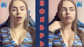 Coub лучшее приколы ноябрь 2018 | coub best