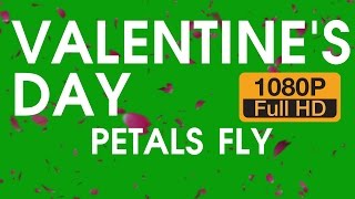 Valentine's Day Petals Love Fly - Green Screen Footage Free
