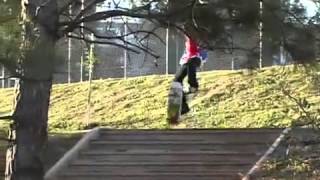 Luan de Oliveira Dingo Part