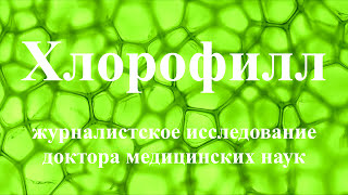 Польза ХЛОРОФИЛЛА  Очищение организма от токсинов и паразитов  Защита от онкологии  Научные факты