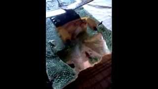 HOME MADE AIR BOAT