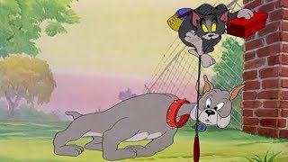 Том и Джерри - Кошачья рыбалка (Серия 27)