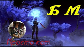 мобильная игра Dragon Nest m .... Что есть БМ