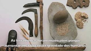 Neolitico