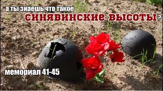 Синявинские высоты Петровская лиственичная роща Путилово