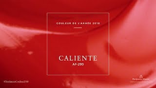 Tendances Couleur 2018 | Benjamin Moore