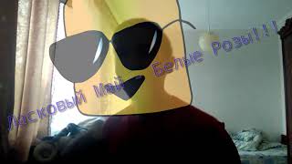 Пародия песни Ласковый май - Белые розы!!!