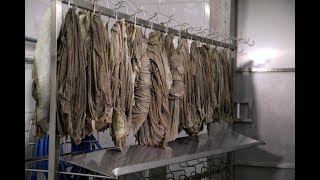 Технологический процесс обработки книжки КРС FELETI