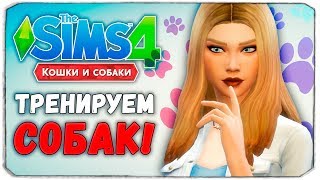 100 ПИТОМЦЕВ - ТРЕНИРУЕМ СОБАК - The Sims 4 "Кошки и Собаки" ЧЕЛЛЕНДЖ