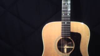 Aria Pro ii ( Aria Pro 11 ) PW55 acoustic guitar review