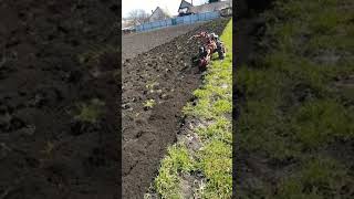 Мотоблок Мотор Сич пашет конным оборотным плугом , отвал влево
