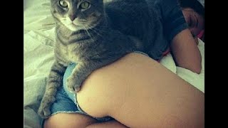 Funny Cat Compilation (Funny Cat fails) - Daily Dose Of Fun