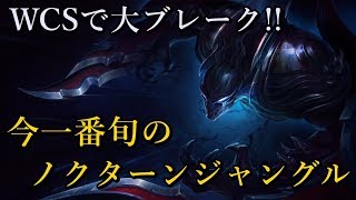 今最もホットなノクターン ジャングル【たくまん】