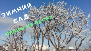 Обзор Зимнего САДА. ПЛАНЫ на Весну! НОВЫЕ ОПОРЫ для клематисов!  Пора идти в конюшню за НАВОЗОМ!