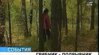 Грибник подорвался на артиллерийском снаряде