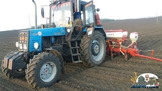 Сеем подсолнух на Мтз 1025 и Cansa 900r ,Mtz82+2Pts6