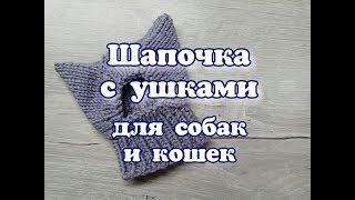 Шапочка с ушками для собак и кошек, DIY Hat for dogs and cats