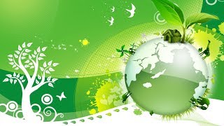 Значение и охрана птиц.  Происхождение птиц. Биология 7 класс.