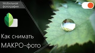 Как сделать красивое МАКРО-фото - Уроки мобильной фотографии