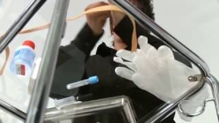 Hand hygiene dance - WHO/HUG, Geneva