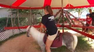 Marisa & Caitlin Harrass Some Ponies