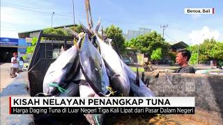 Kisah Nelayan Penangkap Tuna
