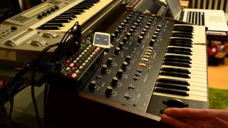 Korg SQ-1 demo Korg Mono/Poly - Korg Prohecy  PART 1
