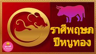 ราศีพฤษภ ปีหนูทอง 2563