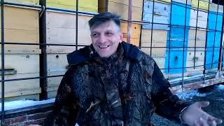 ПЧЕЛОВОДСТВО # ОЖИВАЮ ( отравленная пасека ЗАВИСТЬ ТВАРЕЙ ) Секреты начинающим