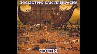 Нохчий Нохь пайх1амаран къам. ВАЙ НОХЧИЙН НАХ