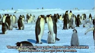 Антарктида (фильм на чувашском языке с чувашскими субтитрами)