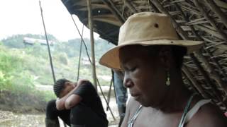 Mujeres de Oro