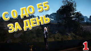 [Гайд] Black Desert | Как прокачаться с 0 до 55 лвл за 1 день