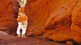 Exploring This Incredible Desert Oasis (Vanlife/SUV Camping Adventures)
