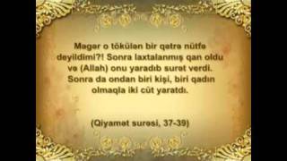 Quran mocuzeleri II bolum 11 Hisse Usagin cinsiyyeti