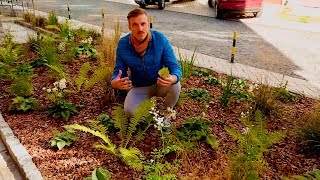 ЛАНДШАФТНЫЙ ДИЗАЙН: КЛУМБА ИЗ МНОГОЛЕТНИКОВ