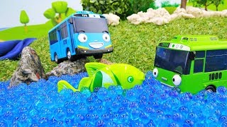 Tolle Spielzeugautos - Tayo und Rogi gehen Angeln - Spielzeugvideo für Kinder