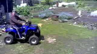 Утилитарный квадроцикл ATV 150B