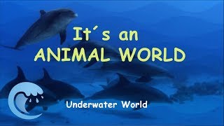 Animal Planet for Babies & Kids – Underwater