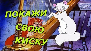 ?РЖАЧНЫЙ ПРИКОЛ ... ПОКАЖИ СВОЮ КИСКУ